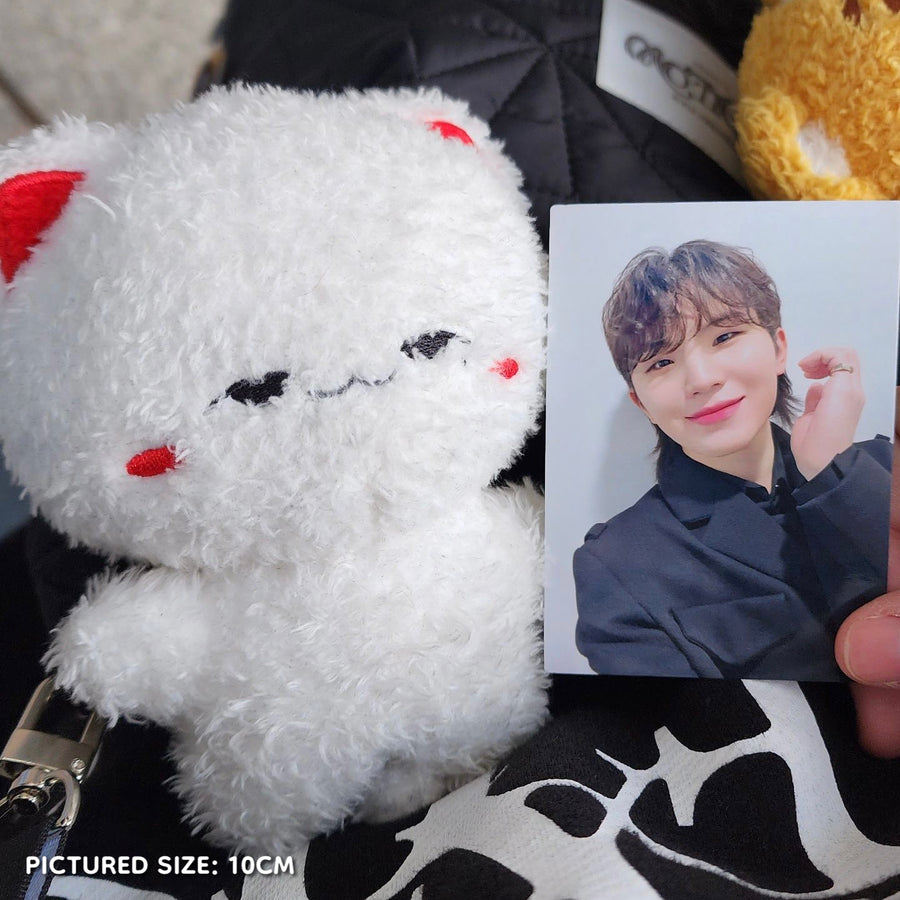 Wooji | A Woozi Inspired Cat Plush [PREORDER ENDED]
